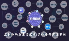 虚拟币的未来与发展：王