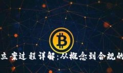 虚拟币立案过程详解：从概念到合规的每一步