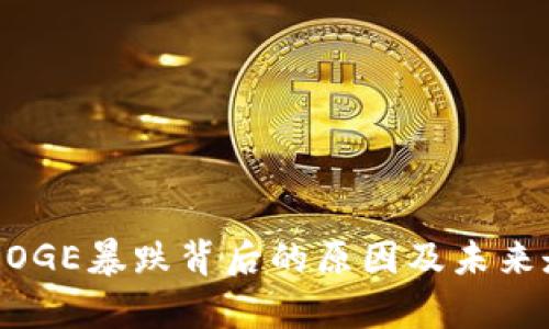 虚拟币DOGE暴跌背后的原因及未来走向分析