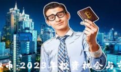 VDL虚拟币：2023年投资机会