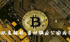 虚拟币诈骗现象解析：当