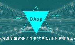 如何在苹果设备上下载T