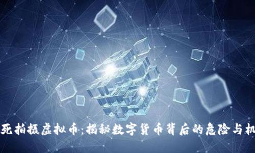 冒死拍摄虚拟币：揭秘数字货币背后的危险与机遇
