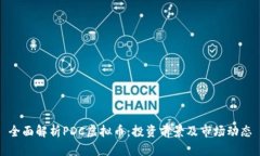 全面解析PDC虚拟币：投资