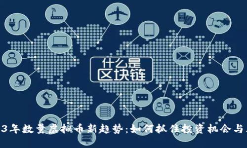 2023年数量虚拟币新趋势：如何抓住投资机会与风险