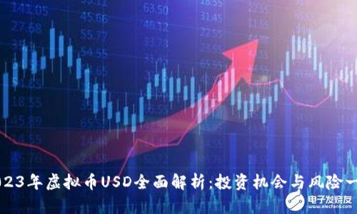 2023年虚拟币USD全面解析：投资机会与风险一览