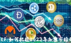 虚拟币REF：如何把握2023年加密市场的新机遇