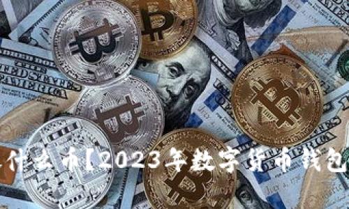 TP钱包能放什么币？2023年数字货币钱包功能全解析