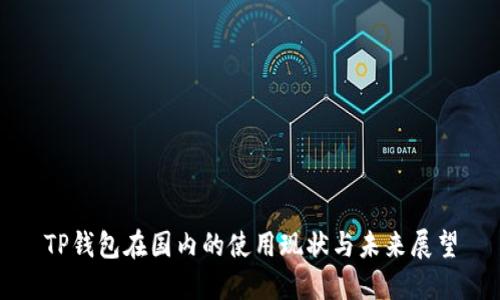 TP钱包在国内的使用现状与未来展望