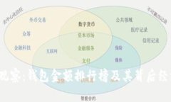2023年TP观察：钱包金额排