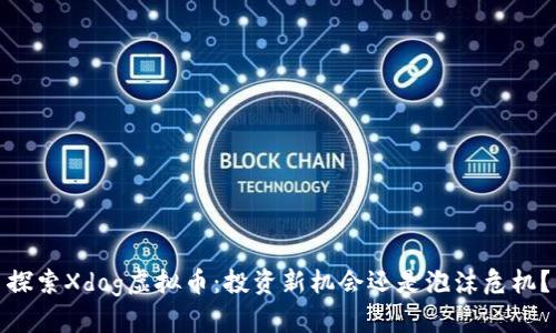 探索Xdog虚拟币：投资新机会还是泡沫危机？