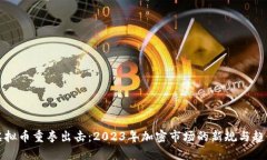 虚拟币重拳出击：2023年加