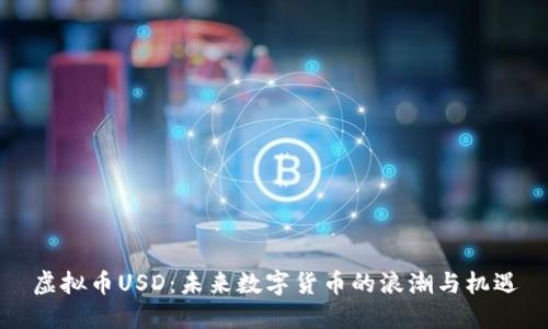 虚拟币USD：未来数字货币的浪潮与机遇