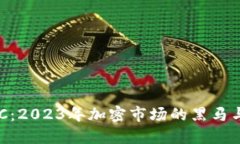 虚拟币NKC：2023年加密市场