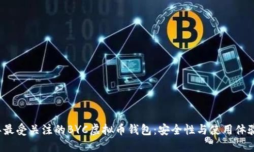 2023年最受关注的BYC虚拟币钱包：安全性与使用体验的一览