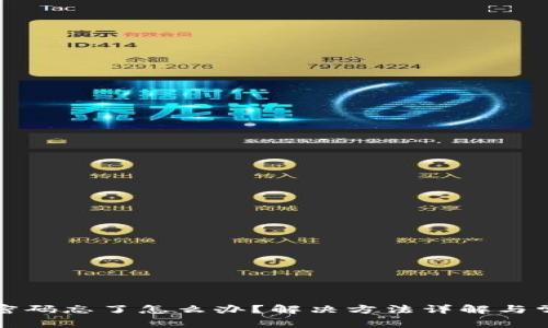 TP钱包闪兑密码忘了怎么办？解决方法详解与常见问题解答