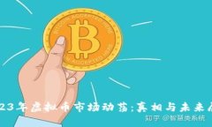 2023年虚拟币市场动荡：真