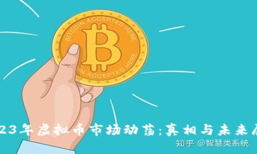 2023年虚拟币市场动荡：真相与未来展望