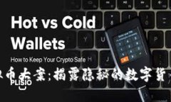 河南破获虚拟币大案：揭