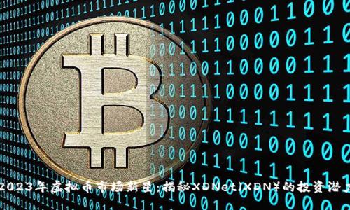 2023年虚拟币市场新星：揭秘XDNet（XDN）的投资潜力