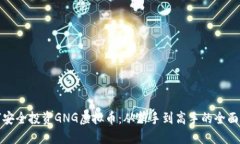 如何安全投资GNG虚拟币：
