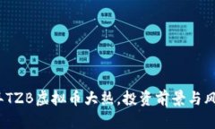 2023年TZB虚拟币大热，投资前景与风险详解